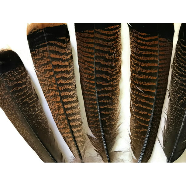 Wholesale unique wild Turkey tail feathers  3-12 inches 8-30 cm 10-100pcs 